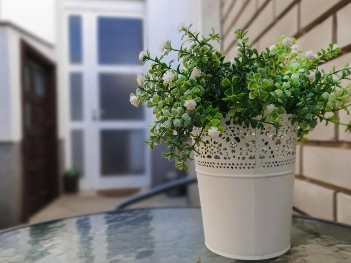 Laura & Lucija Apartman Osijek